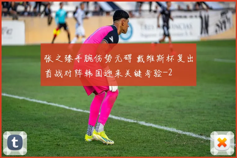 张之臻手腕伤势无碍 戴维斯杯复出首战对阵韩国迎来关键考验